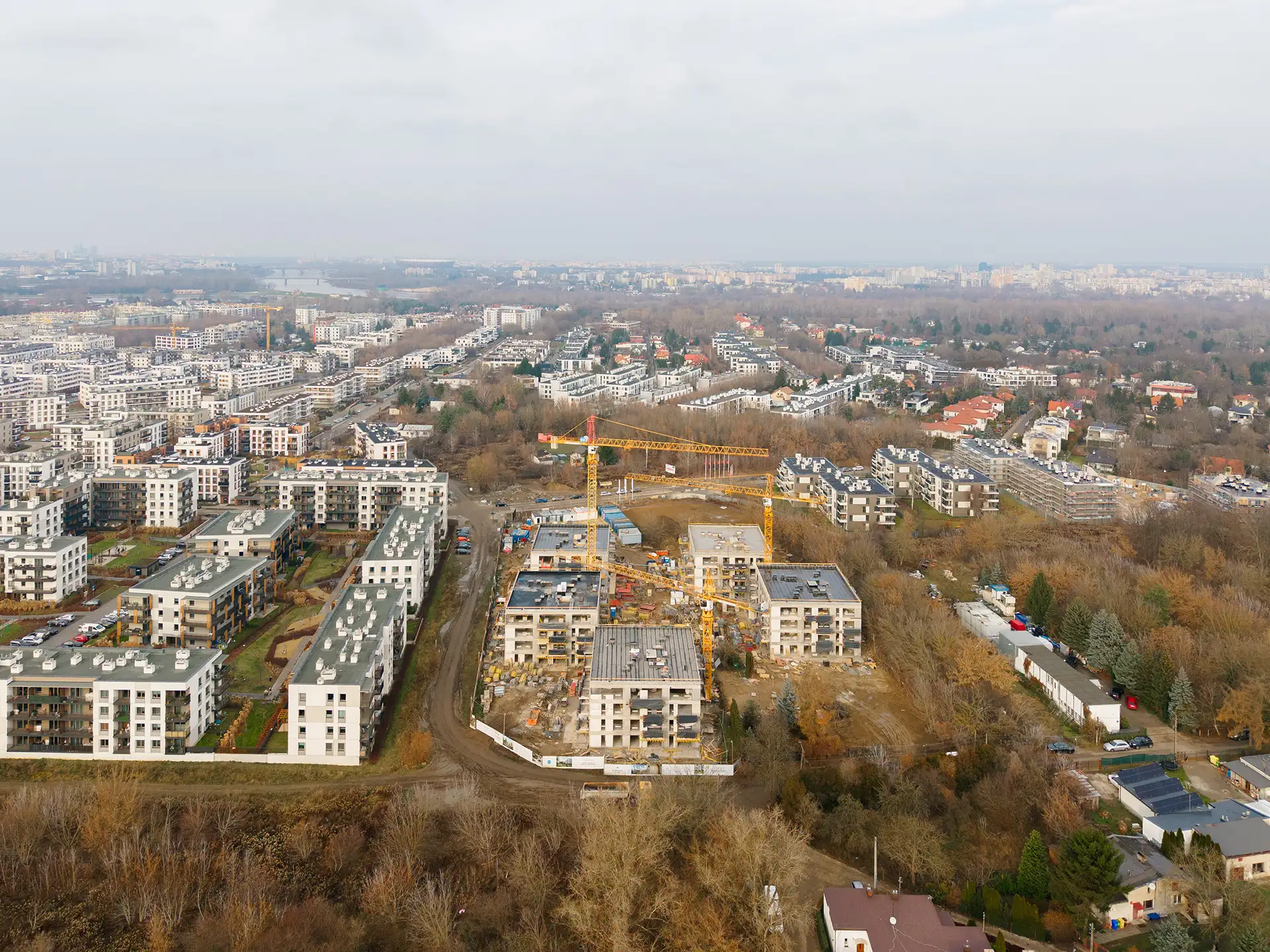 Ananasowa, Warszawa